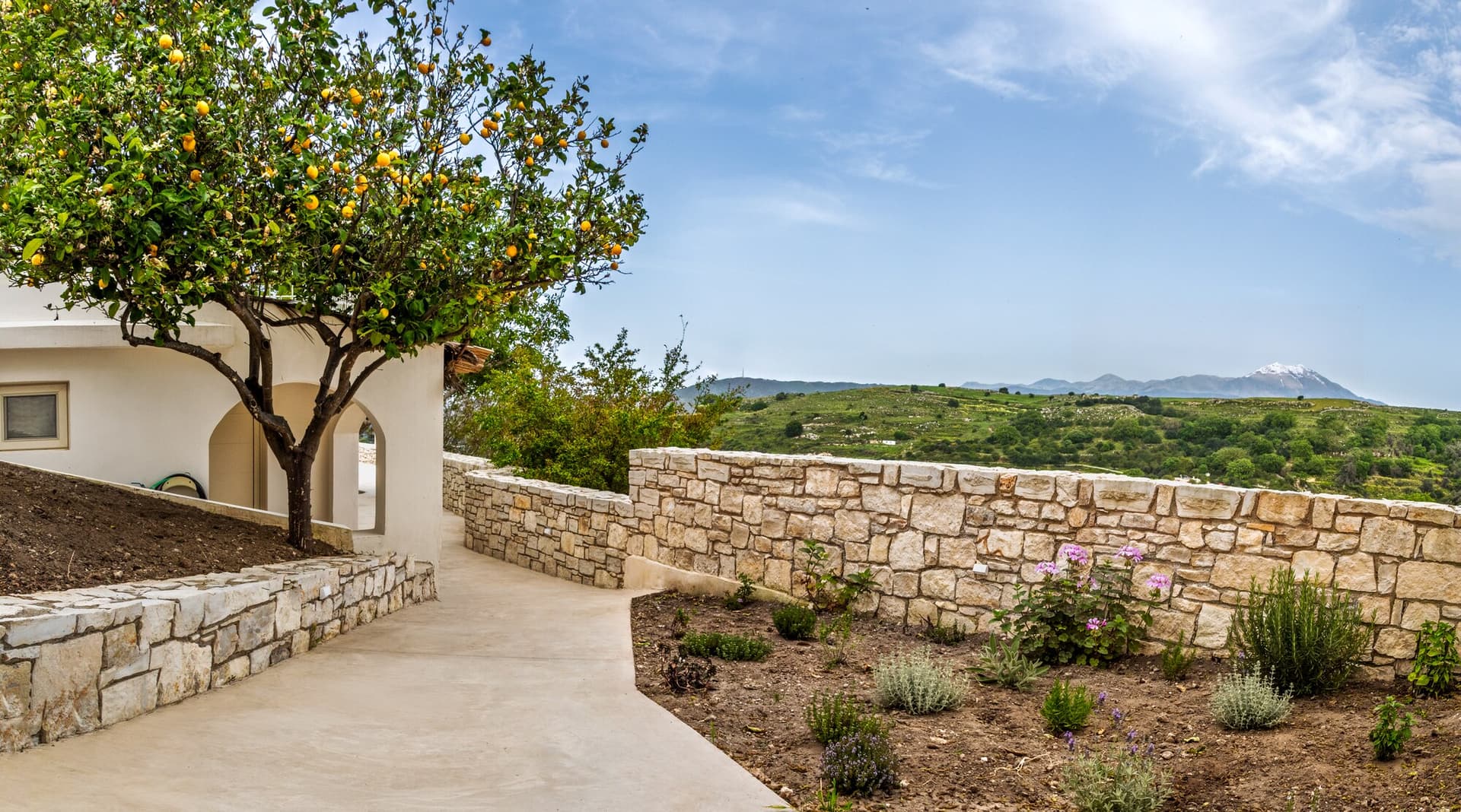 Stone wall, citrus, and the hills around Nogal Retreat